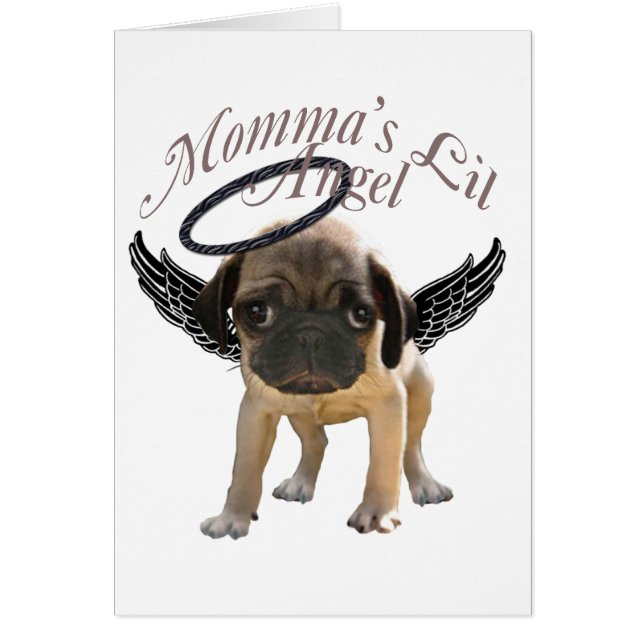 Mommas Lil-Mops Angel (Vorne)