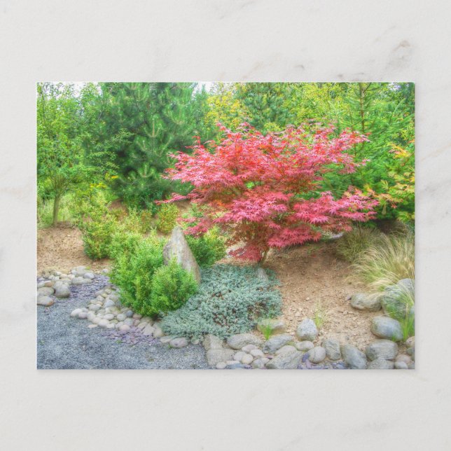 Momotaro Japanischer Garten 3 Postkarte (Vorderseite)