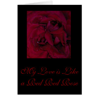 Mon amour est comme une rose rouge