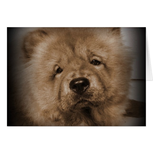 Mon bébé (Devant Horizontal)