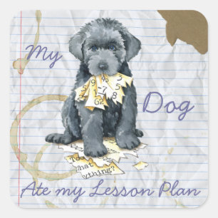 Mon Bouvier Mangé Mon plan de leçon Sticker Carré