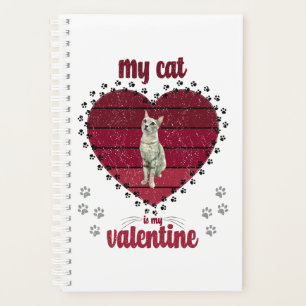 Mon Chat Est Ma Saint Valentin