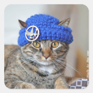 Mon chat porte des autocollants casquette