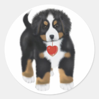 Mon coeur de MadDog est vos autocollants