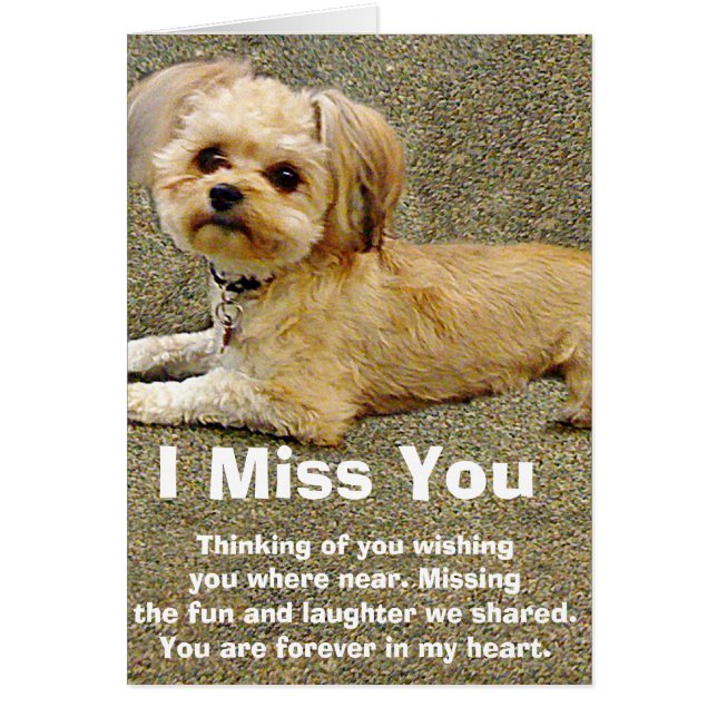 Mon Copain_ (Devant)