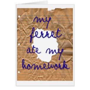 Mon Ferret A Mangé Ma Maison