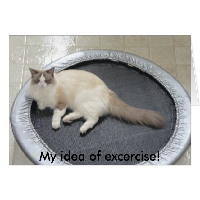 Mon idée d'excercise ! (Devant horizontal)