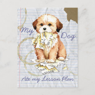Mon Lhasa Apso a mangé ma carte postale de plan de