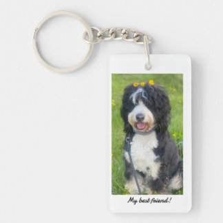 Mon meilleur ami avec Birdie le Bernedoodle
