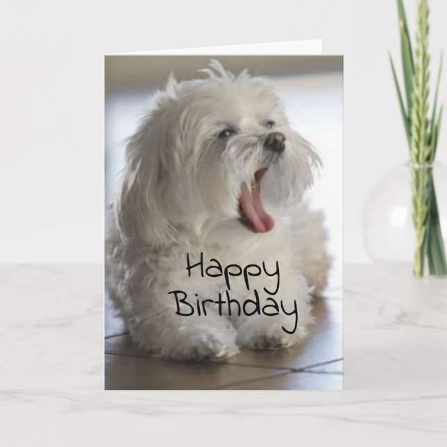 **MON MEILLEUR AMI** JOLIE CARTE D'ANNIVERSAIRE (Devant)