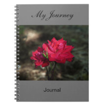Mon voyage - journal