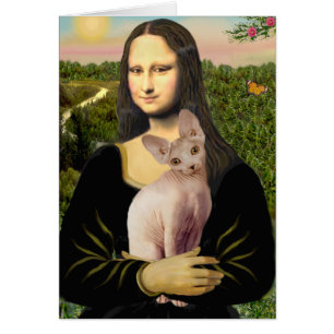 Mona Lisa - Creme Sphynx-Katze