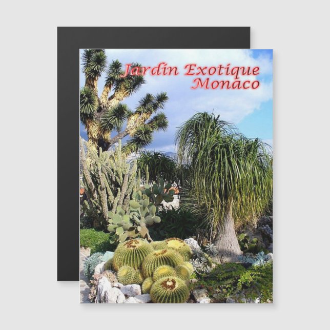 Monaco - Exotischer Garten - Magnetkarte (Vorne/Hinten)