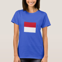 Monaco-Flagge