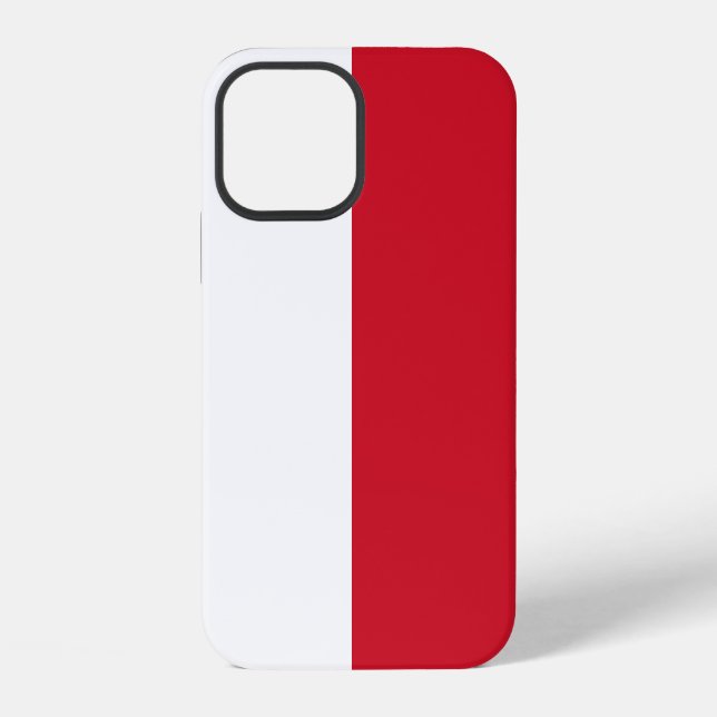 Monaco iPhone 12 Hülle (Rückseite)