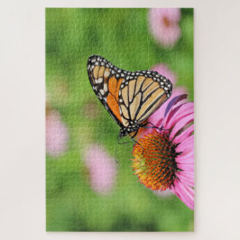 Monarch