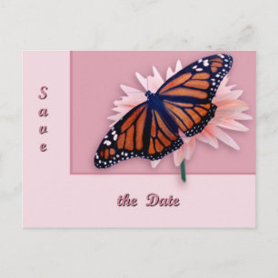 Monarch Ankündigungspostkarte