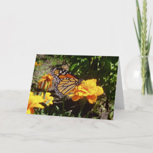 "Monarch at lunch" - Brunnen-Karte Karte