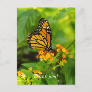 Monarch auf Lantana Dankeskarten Postkarte
