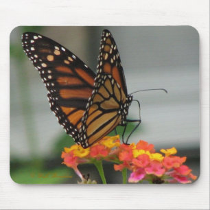 Monarch auf Lantana Mousepad