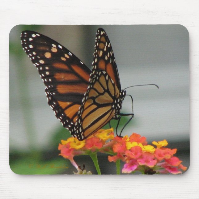 Monarch auf Lantana Mousepad (Vorne)