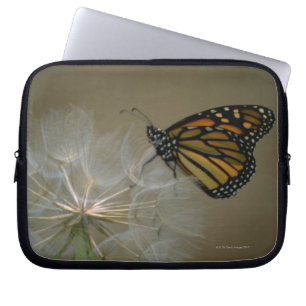 Monarch auf Löwenzahn Laptopschutzhülle