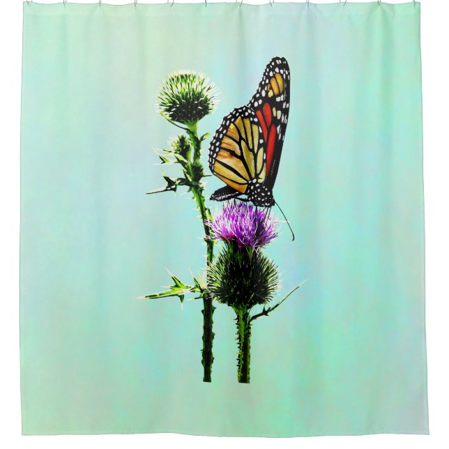 Monarch auf Thistle Duschvorhang (Vorderseite)