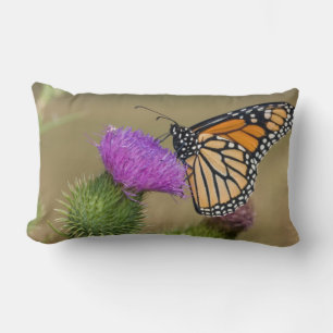 Monarch auf Weide Distel Prairie Ridge Lendenkissen
