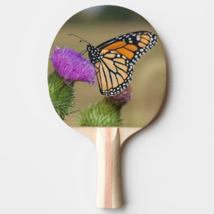 Monarch auf Weide-Distel Prairie Ridge Tischtennis Schläger