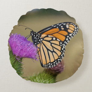 Monarch auf Weide Thistle Prairie Ridge Rundes Kissen