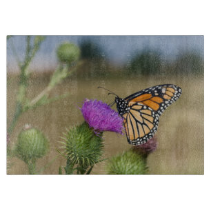 Monarch auf Weide Thistle Prairie Ridge Schneidebrett