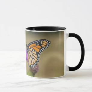 Monarch auf Weide Thistle Prairie Ridge Tasse