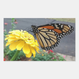 Monarch auf Yellow Zinnia Rechteckheber Rechteckiger Aufkleber