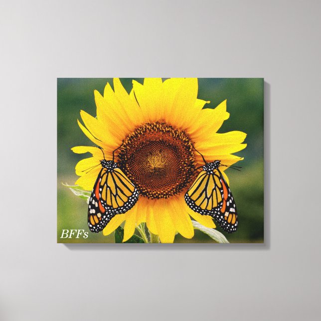 Monarch Butterblüten auf Sonnenblumen Leinwanddruck (Vorderseite)