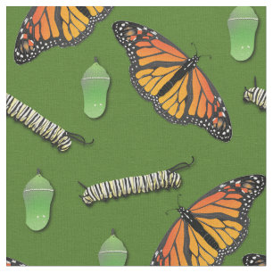Monarch Butterfett-Raupen Stoff