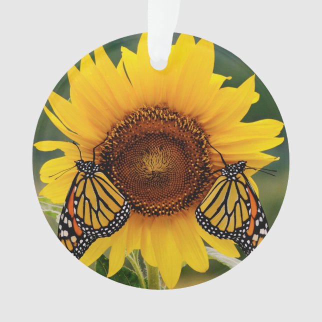 Monarch Butterfies auf Sonnenblume Ornament (Vorderseite)