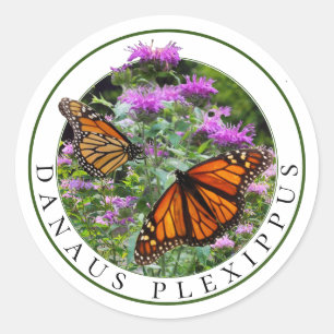 Monarch Butterfliegen und Bee Balm Monarda Runder Aufkleber