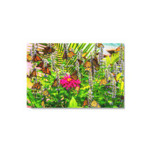 Monarch Butterflies 36 x 24 Stretched Canvas Print