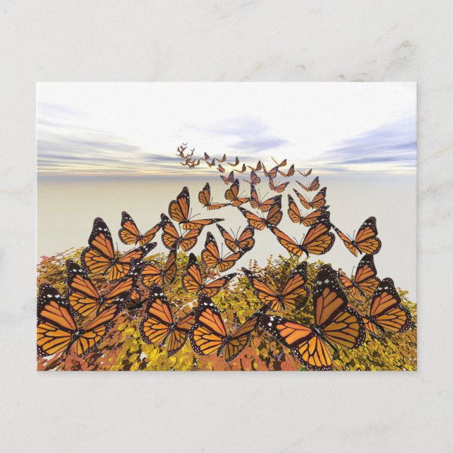 Monarch Butterflies Gather Postkarte (Vorderseite)