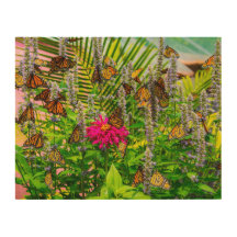Monarch Butterflies Holzmauer Art 14 x 11