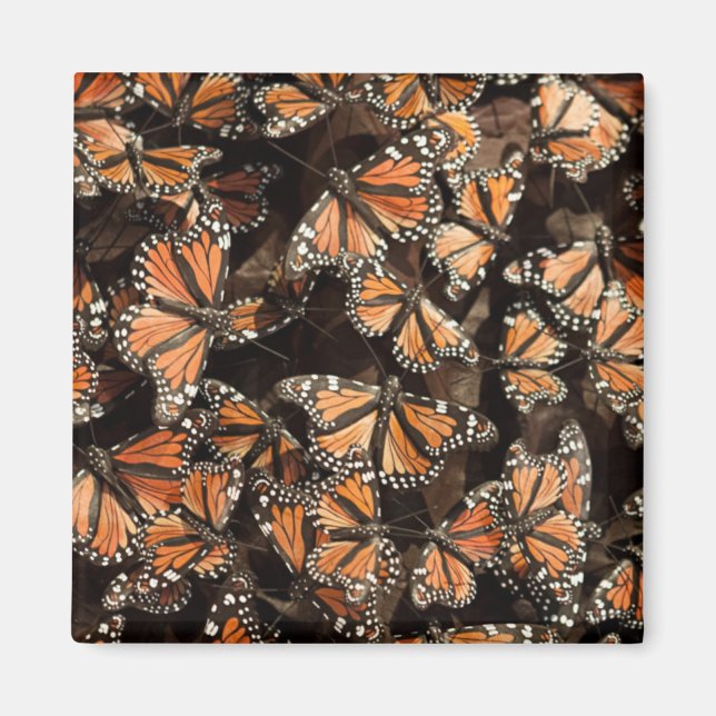 Monarch Butterflies Magnet (Vorne)