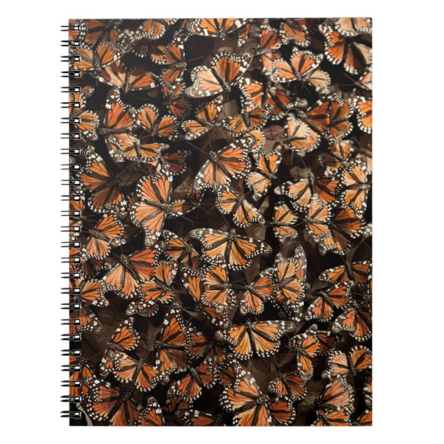 Monarch Butterflies Notizblock (Vorderseite)