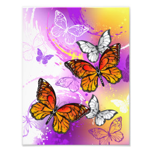 Monarch Butterflies on Purple Background Fotodruck