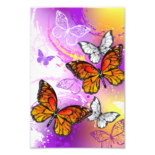 Monarch Butterflies on Purple Background Fotodruck