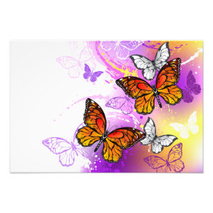 Monarch Butterflies on Purple Background Fotodruck