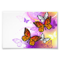 Monarch Butterflies on Purple Background