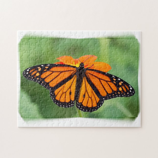 Monarch Butterfly (Horizontal)