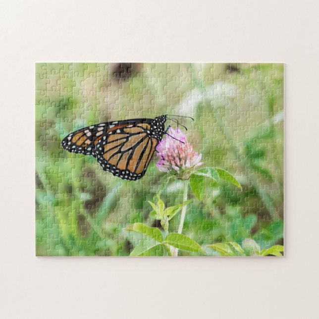 Monarch Butterfly (Horizontal)
