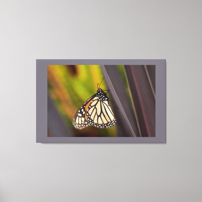 Monarch Butterfly auf Agave Leinwanddruck (Vorderseite)
