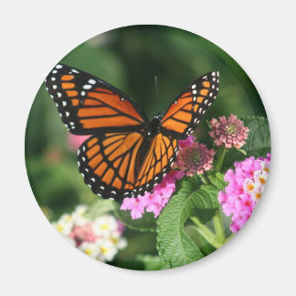 Monarch Butterfly auf der Blume Lantana Magnet